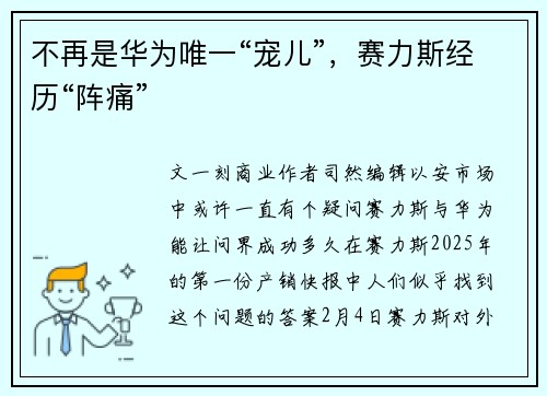 不再是华为唯一“宠儿”，赛力斯经历“阵痛”