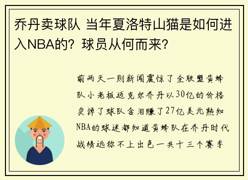 乔丹卖球队 当年夏洛特山猫是如何进入NBA的？球员从何而来？