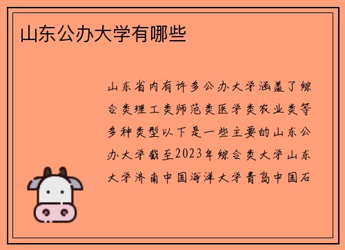 山东公办大学有哪些