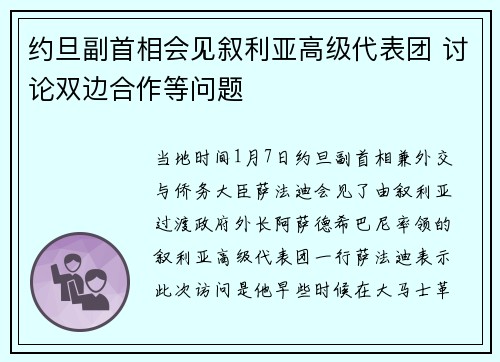 约旦副首相会见叙利亚高级代表团 讨论双边合作等问题